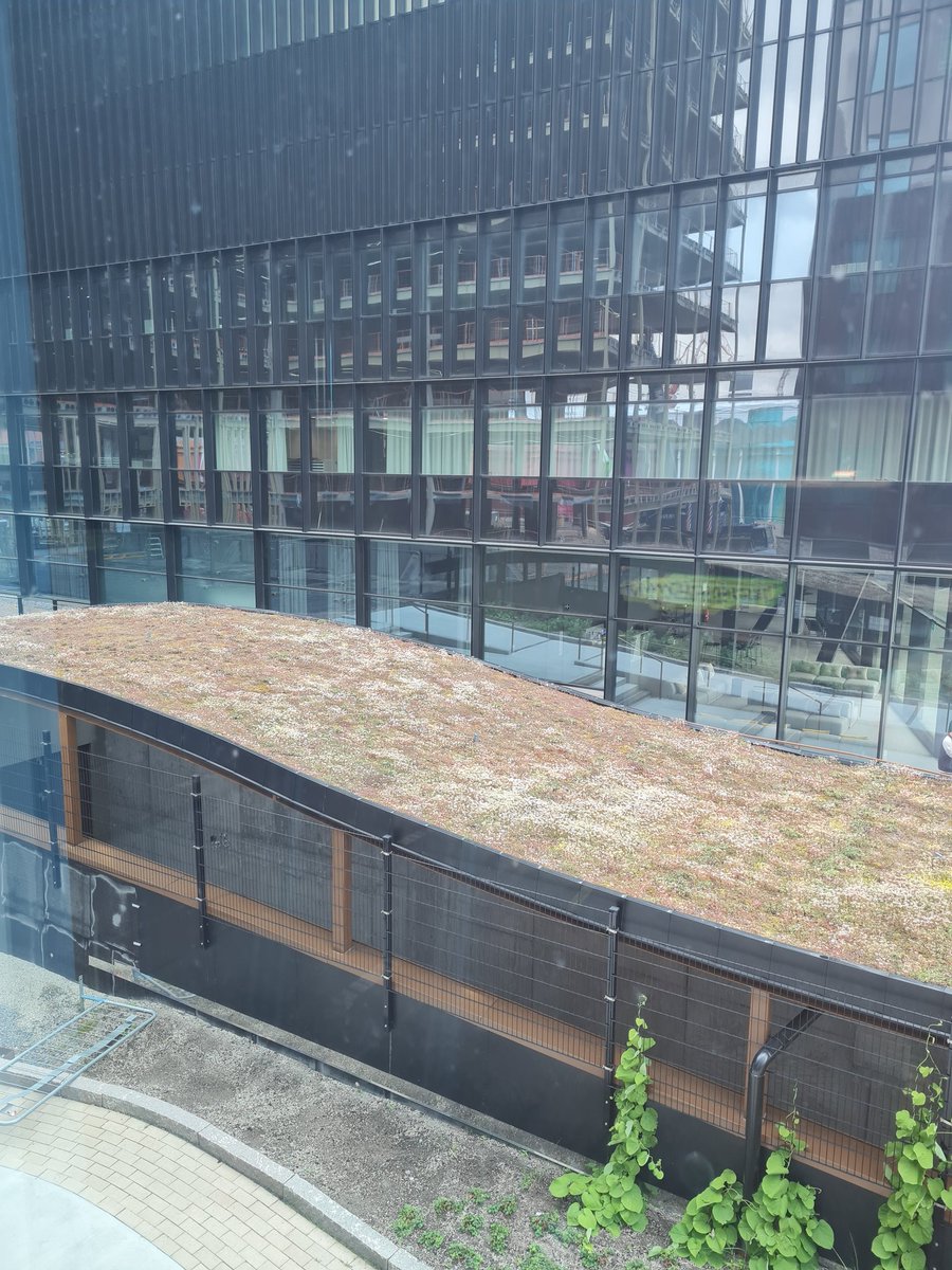 tomas_thuresson's tweet photo. Först bygger man helt #klimatvidrigt i #betong, #stål och #aluminium och sedan toppar man med #torvtak för att se miljövänliga ut... #fakesolutions https://t.co/aKHLdku6sk