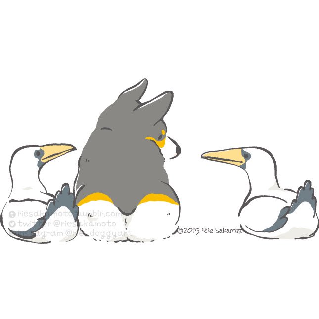 「コーギーと野鳥たち #これを見た人はスリーショットを貼れ」|サカモトリエ/イラストレーターのイラスト