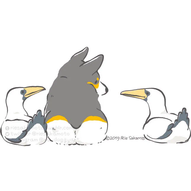 コーギーと野鳥たち #これを見た人はスリーショットを貼れ
