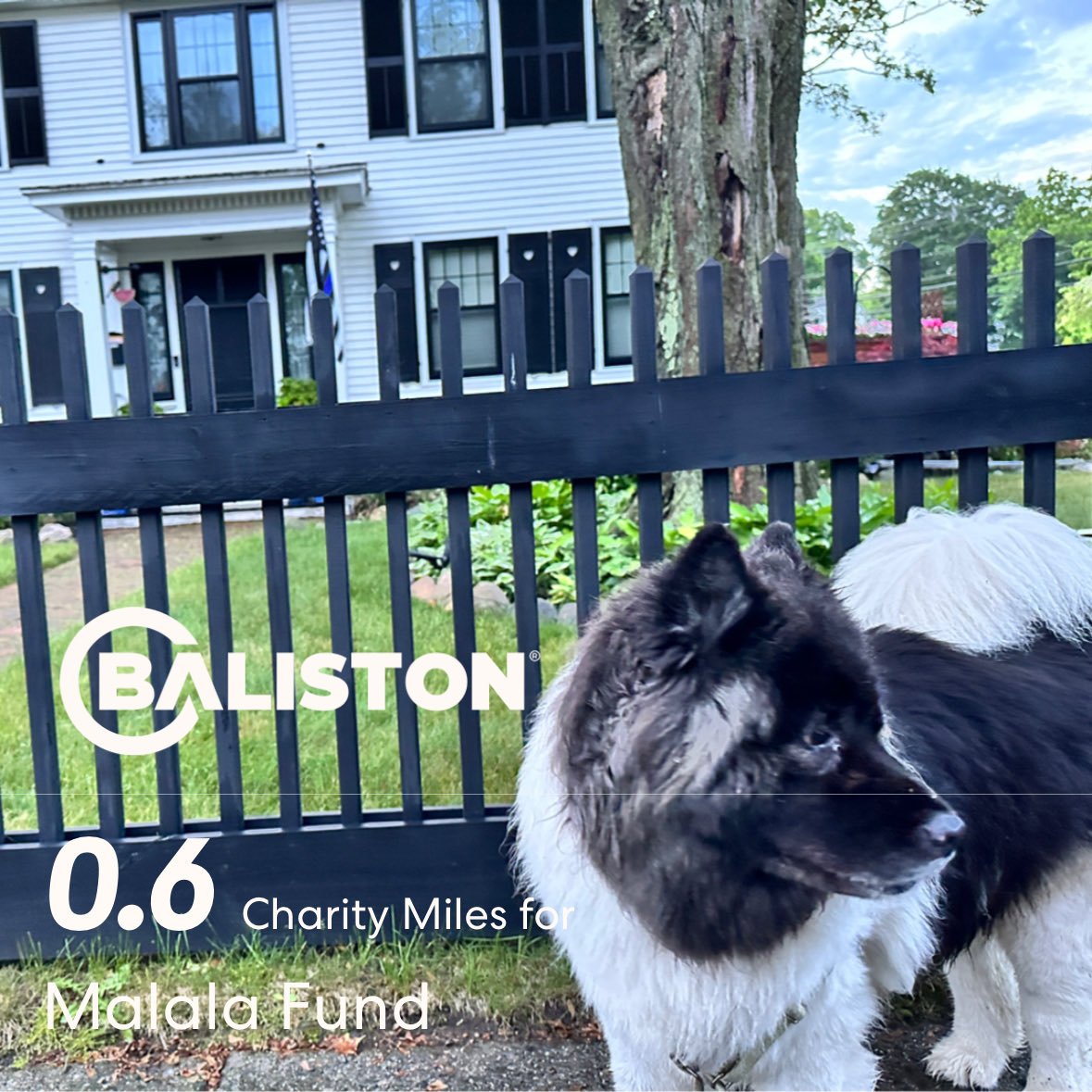 56° everything is drip-drying out from yesterday soaking rains 🐼🐾 .6 ⁦@CharityMiles⁩
