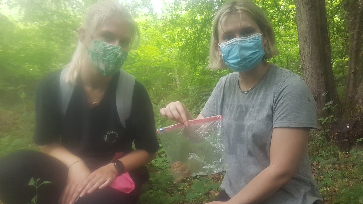 Lorna Griffiths tweet media