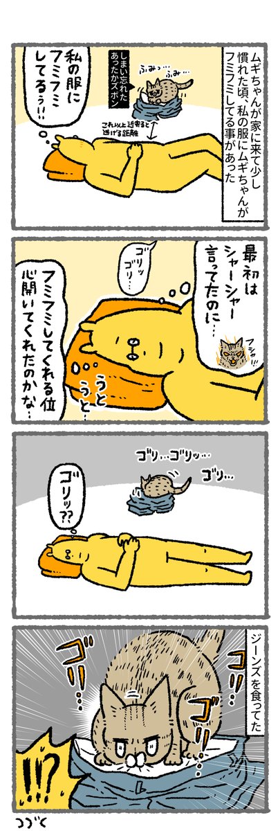 【猫漫画】新入り猫が布を食べてた話(1/2) 恥ずかしながらこの事件が起こるまでウールサッキングの存在を知りませんでした  #漫画が読めるハッシュタグ #猫漫画