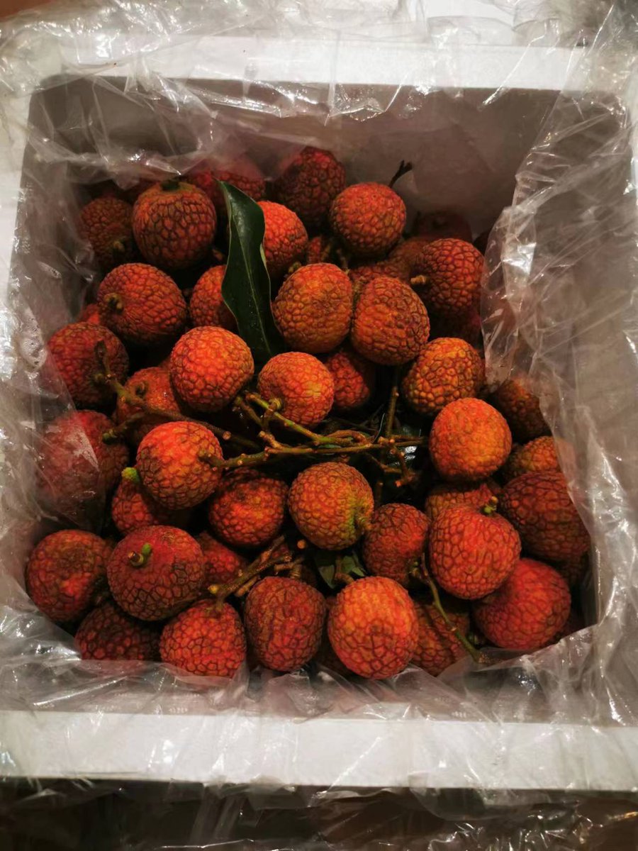 fruit of the season 1 #lychee #friendslove