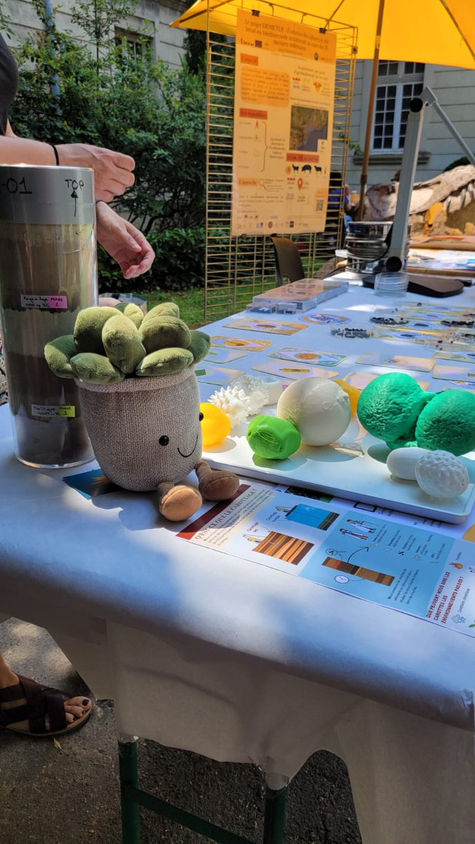 You still can come today and learn about #Palynology at Natural History Museum in Nîmes!! You can see a sedimentary core and how pollen grains are used to reconstruct ancient cultural landscapes!
@journees_archeo @DBA_ISEM @isemevol