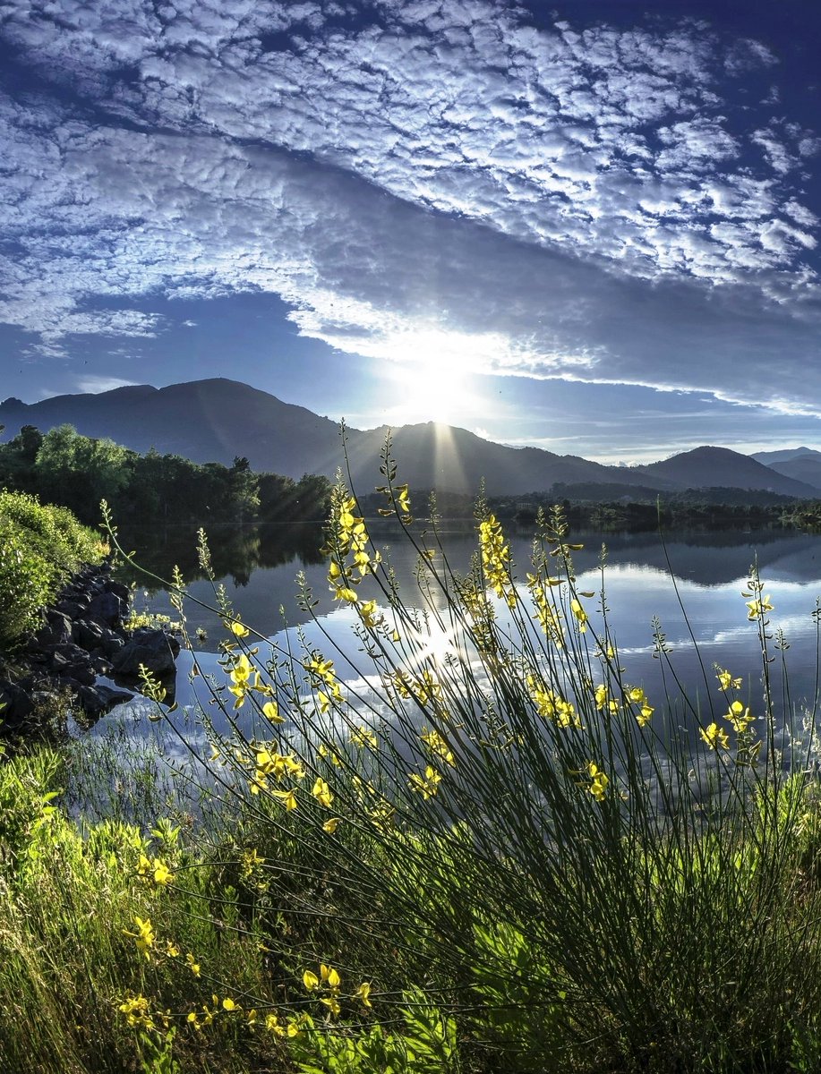 Lake at sunrise hour in Corsica, France  🇫🇷 

#nature #naturephotography #naturebeauty #scenic #photography