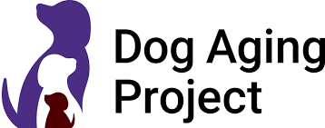 The @DogAgingProject, led by @mkaeberlein and @DPromislow, is an ongoing study tracking tens of thousands of companion dogs in the US to find factors contributing to aging. As part of the project, #rapamycin is also being tested in dogs: en.longevitywiki.org/wiki/Dog_Aging… #longevitywiki