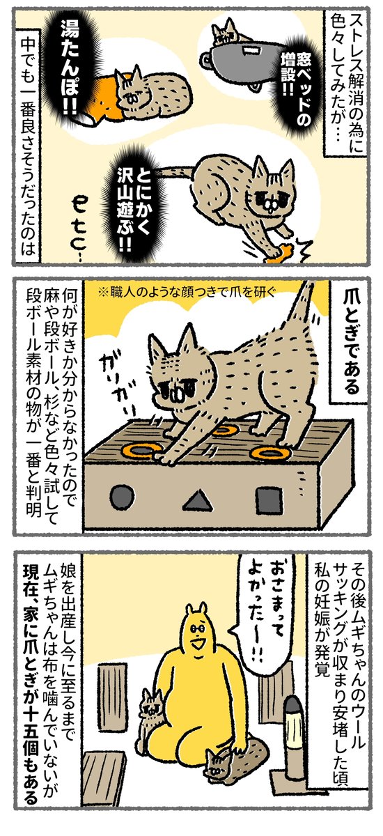 【猫漫画】新入り猫が布を食べてた話(2/2) その後ウールサッキングは再発していないのですが 今ふり返ると、子供と引き離されてやっと家に慣れた頃だったのでムギちゃんも寂しかったのかもしれないなと  彼女のストレス解消法を見つけるまでが結構大変でした #漫画が読めるハッシュタグ #猫漫画