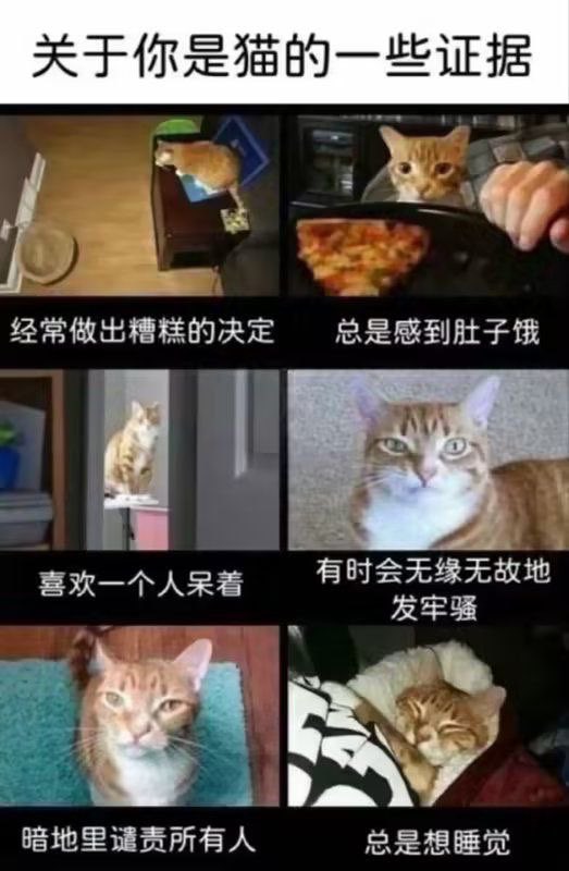 memechinesebot's tweet photo. https://t.co/X0TLls61jE