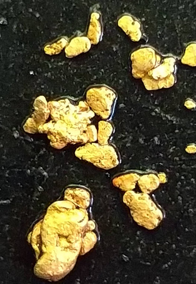 昨日師匠と二人で前回の川に行って参りました。今の時期は田んぼに水を流す作業で川が白く濁り底が見えにくい状況でした。成果は少しでしたがまだ二回目なので採れそうな気がします。後帰りに携帯を川に落としてオシャカになり今日新しい物を購入しました。