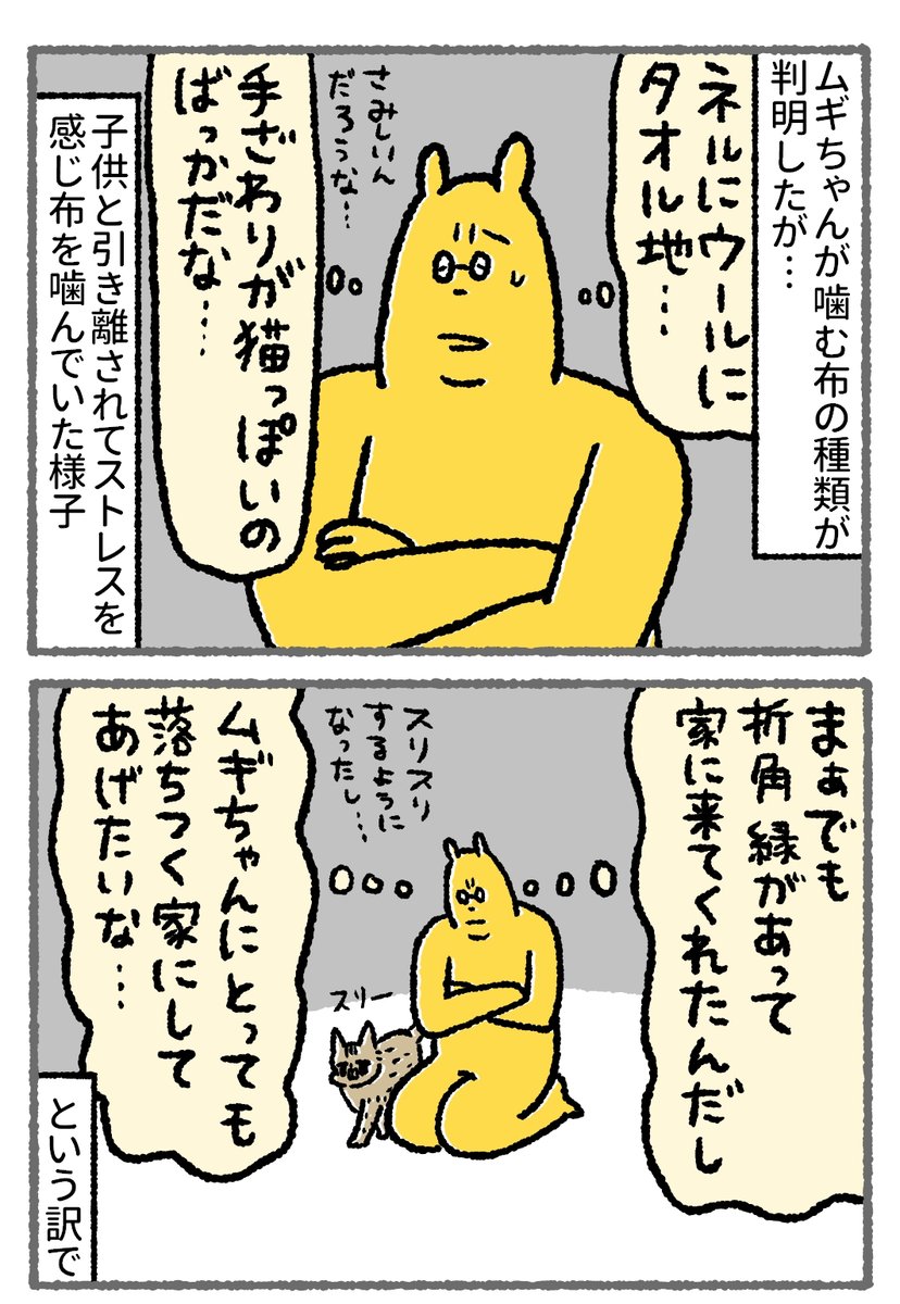 【猫漫画】新入り猫が布を食べてた話(2/2) その後ウールサッキングは再発していないのですが 今ふり返ると、子供と引き離されてやっと家に慣れた頃だったのでムギちゃんも寂しかったのかもしれないなと  彼女のストレス解消法を見つけるまでが結構大変でした #漫画が読めるハッシュタグ #猫漫画