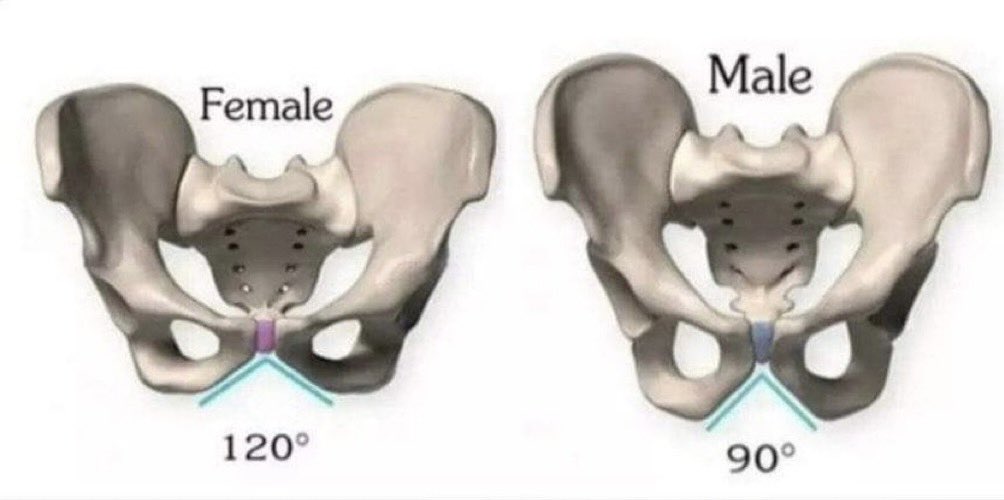 Chers Occidentaux, vous pouvez vous identifier à tout ce que vous voulez, subir toutes les mutilations génitales possibles et vous castrer, vous resterez toujours ce que la nature a choisi pour vous d’être : un homme ou une femme. Si on sort vos ossements du cercueil, ce sera un