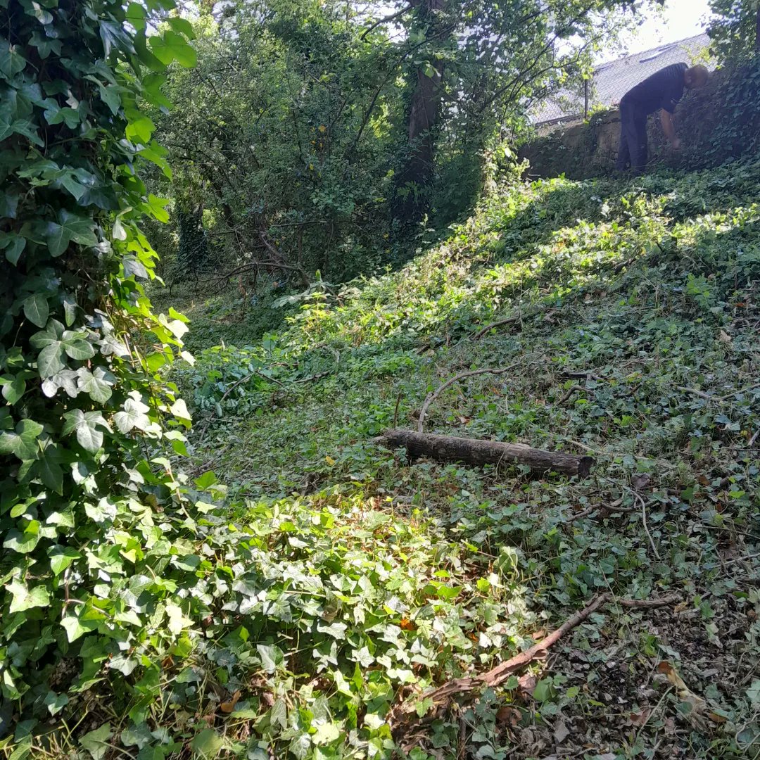 ryanogo's tweet photo. Out this morning cleaning up my community in the sunshine ☀ thanks for the refreshments Quay Watermen's & Riverside Heritage Cafe #quay #quayspirit #community #sunshine #CWUandProud https://t.co/8k3IF3FVCN