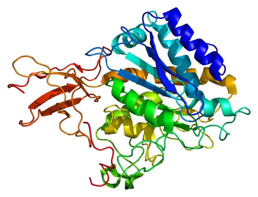 Darek Kłeczek on Twitter "Proteins are fascinating! Here's an EDA
