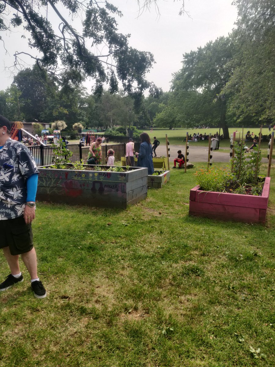 Kilburn Community Garden - Anyone Can Grow tweet media
