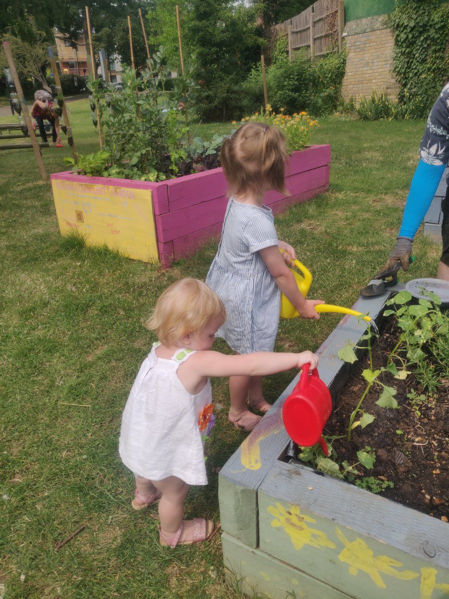 Kilburn Community Garden - Anyone Can Grow tweet media