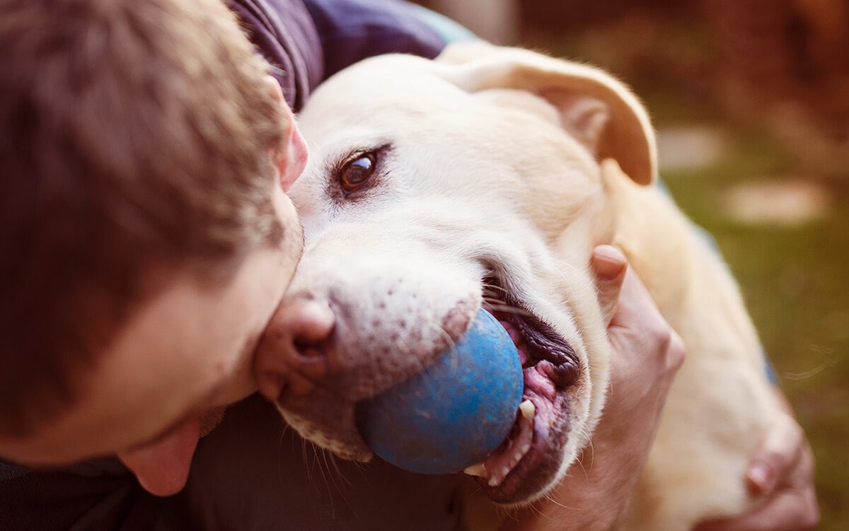 Cheers to a day full of dad jokes, slobbery kisses and pawsome memories 💙🐾 Happy Father’s Day to all the great Dads! 
#dogdads #fathersday #dadjokes