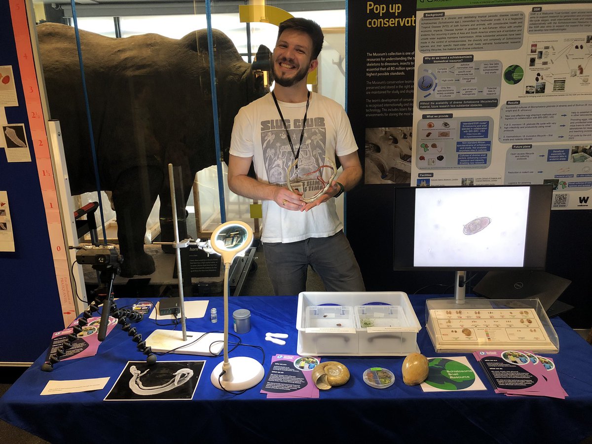 After a fantastic day yesterday we are looking forward to chat to you today about parasites 🪱 and snails 🐌 @ExRdFestival inside @NHM_London in the Spirit Collection. @unlimit_health @SciAnouk @ZBartonicek @fernanda_salesc @DanParsons__ @Adam_Ciep @schistoresearch @Igniculus1