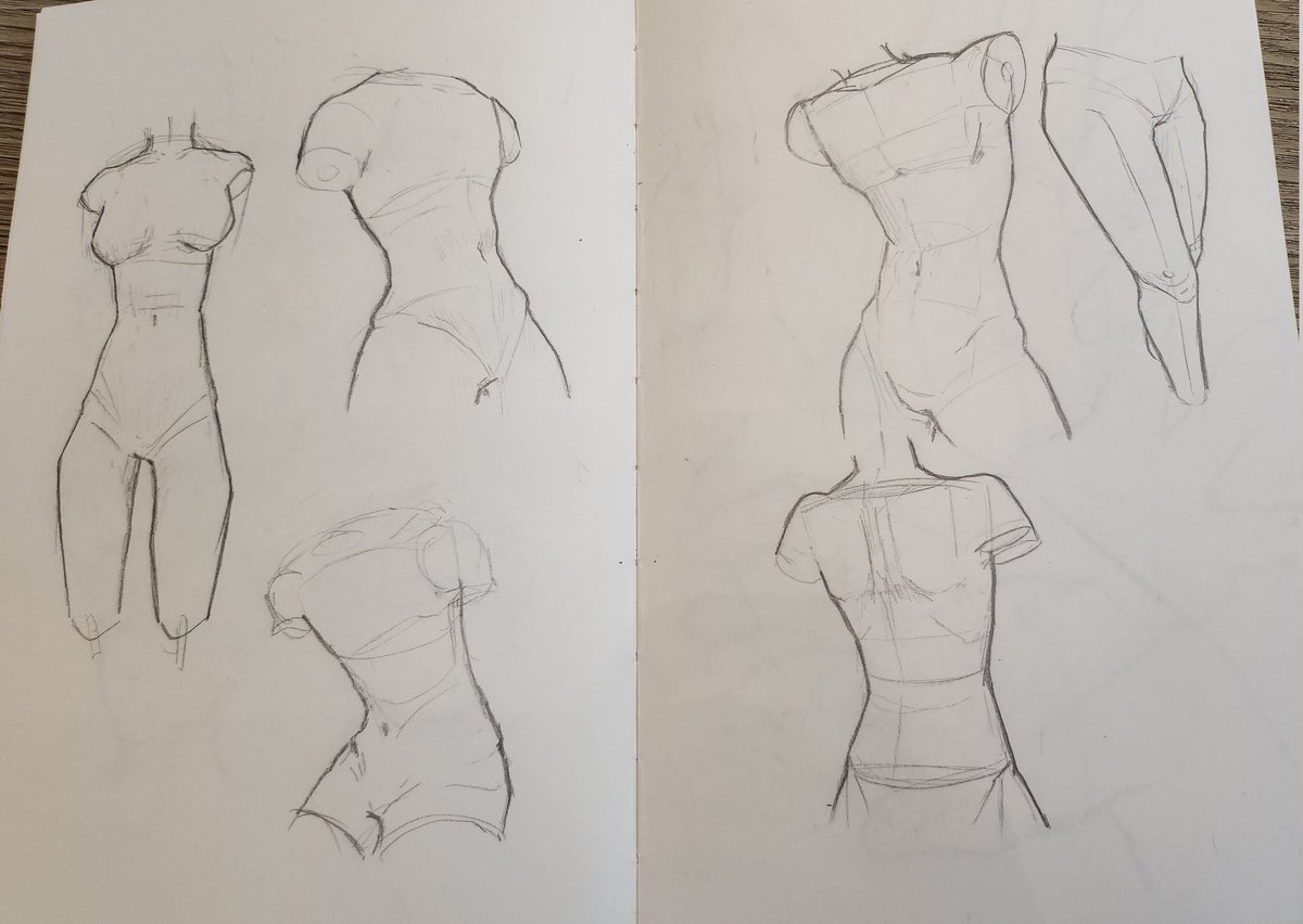 shork629's tweet photo. Anatomy sketches without a reference LOL ;D https://t.co/htTiOJnhk0