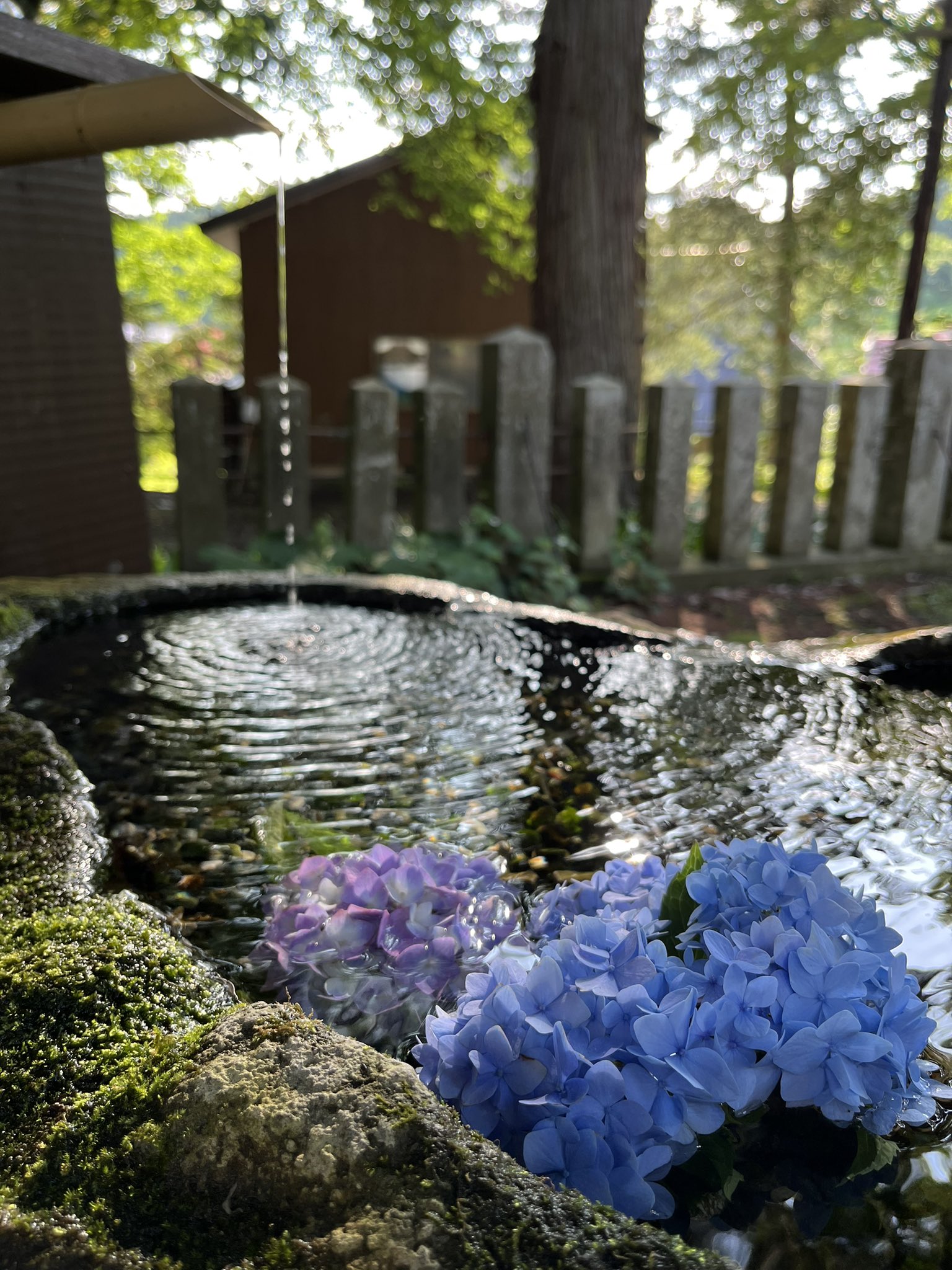 飯笠山神社⛩長野県飯山市 on Twitter