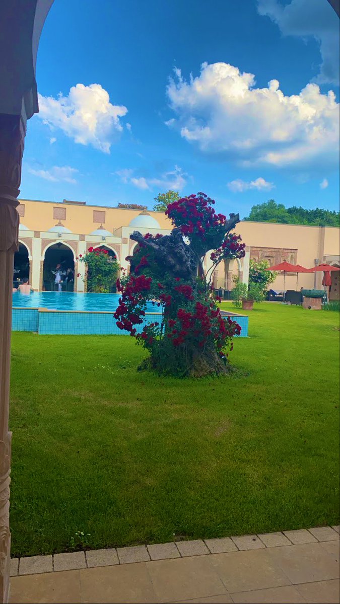 tesh3xit's tweet photo. GM Web3☀️

this is a reminder to touch grass and
Enjoy UR SUNDAY 🫶🤓

Don’t forget to chase ur TAPPY @TapTools 
Today 🐧 https://t.co/96wPrQkcEO