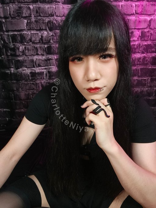 🐍 https://t.co/dYStnQdntE