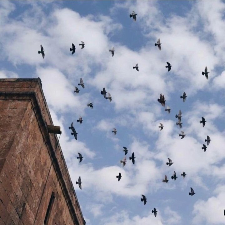 Kuşlar arasında yarasalar neyse, şüpheler de düşünceler arasında öyledir, sadece karanlıkta uçabilir.
- Francis Bacon