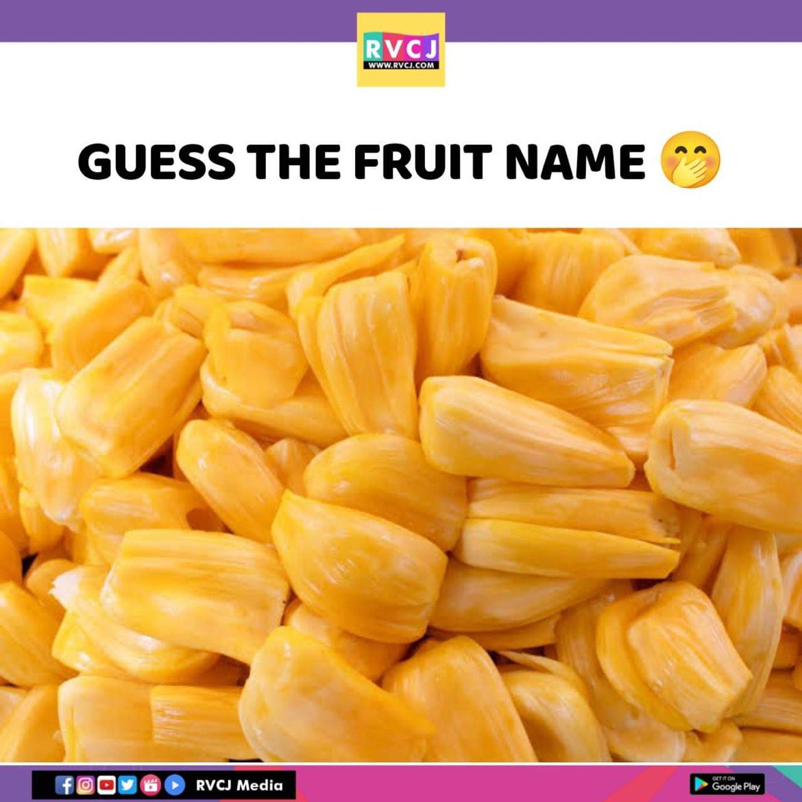 RVCJ Media tweet media