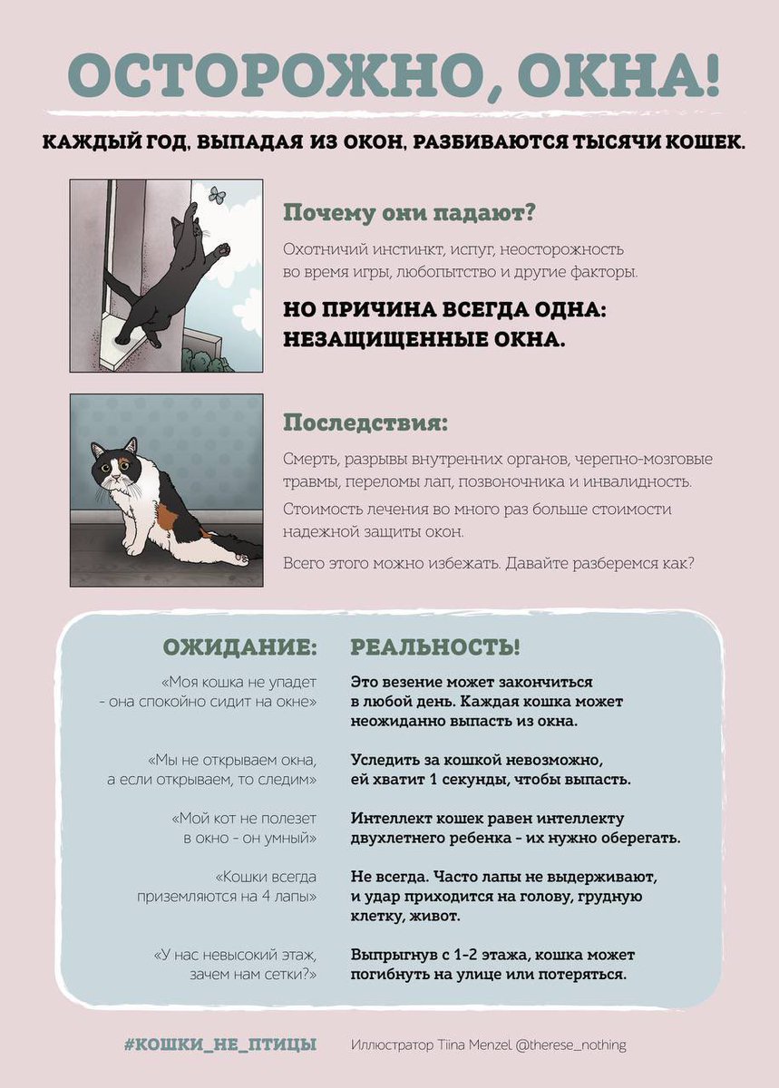 vzrosly_content's tweet photo. Пожалуйста, распространите данный пост!
Каждый год десятки котиков выпадают из окон многоэтажных домов
Очень важно беречь их — используйте защитные сетки, пожалуйста ❤️‍🩹 https://t.co/4B23jF2ke2