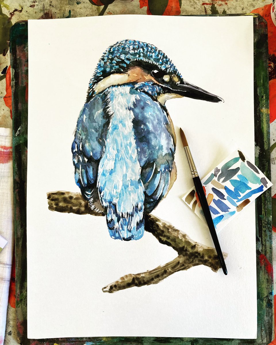 pbb_studio's tweet photo. Finished my watercolour painting of a kingfisher (watercolor on A3 cartridge paper) #artforsale https://t.co/tUkYSgrBeW