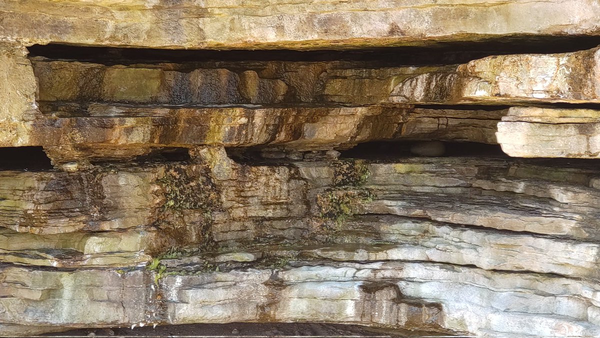 gmc004's tweet image. To help you understand I was spoken to by a woman from the famous tree that rots #suggesting I'd struggle to feed &amp;amp; clothe #myself to justify putting me in a mental hospital | the following day I enjoyed the most beautiful journey a human could expect down the east coast 90 miles