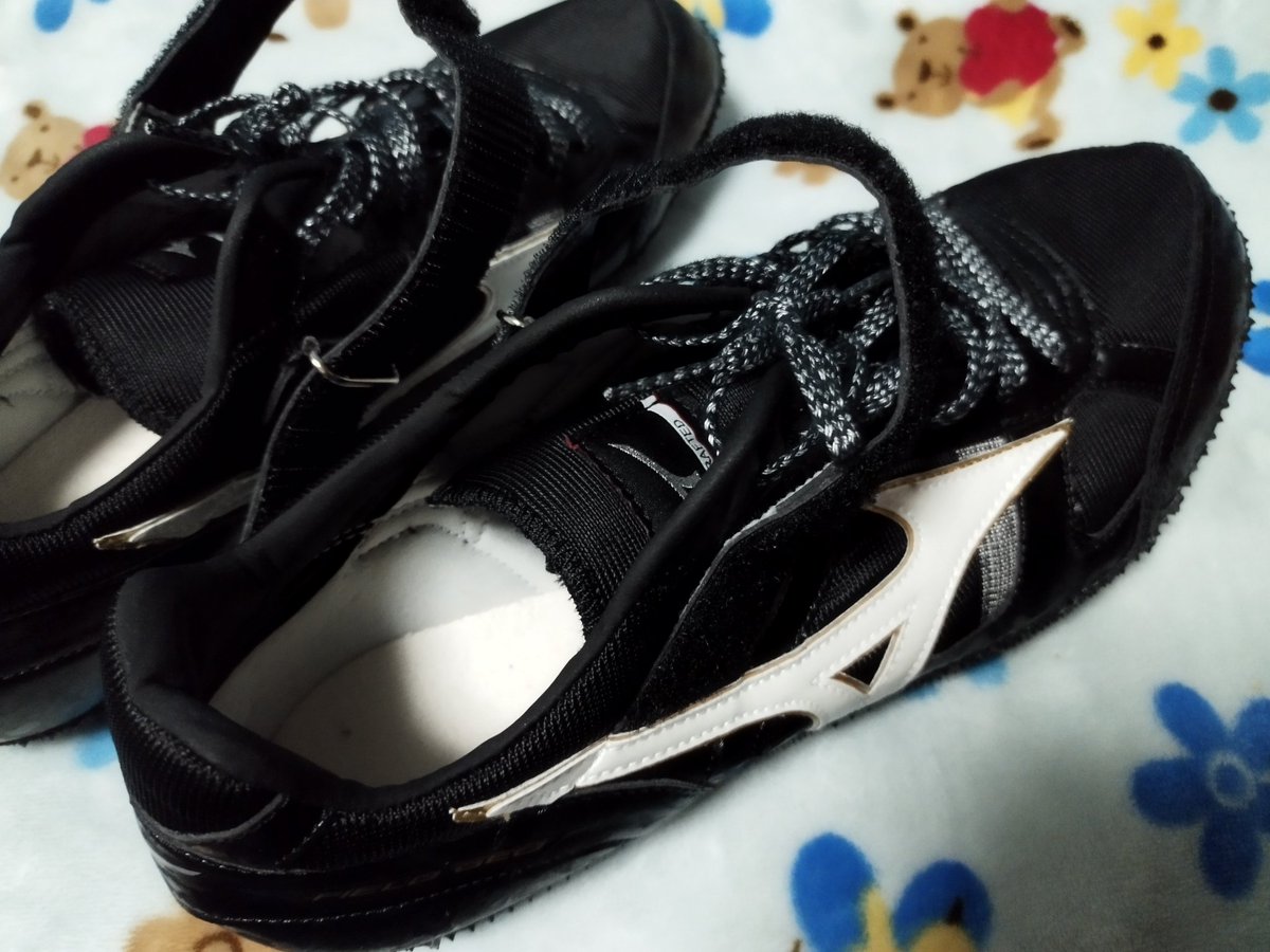 umeturtle's tweet image. 頑張りまする！!