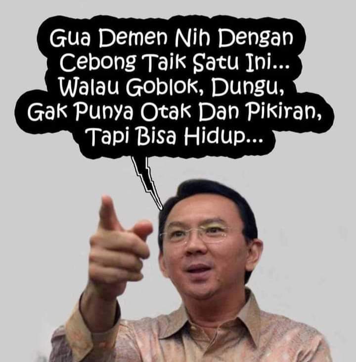 Asli cebong ini tolol 🤣
Berita 2017 di edit jadi 2023 😂

fajar.co.id/2023/06/18/din…