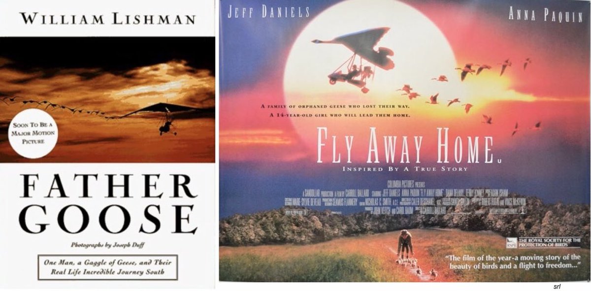 12:40pm TODAY on #GreatMovies

The 1996 #Family #Drama film🎥 “Fly Away Home” directed by #CarrollBallard From a screenplay by #RobertRodat & #VinceMcKewin

Loosely based on #BillLishman’s 1995 autobiography📖 “Father Goose”

🌟#JeffDaniels #AnnaPaquin #DanaDelany #TerryKinney