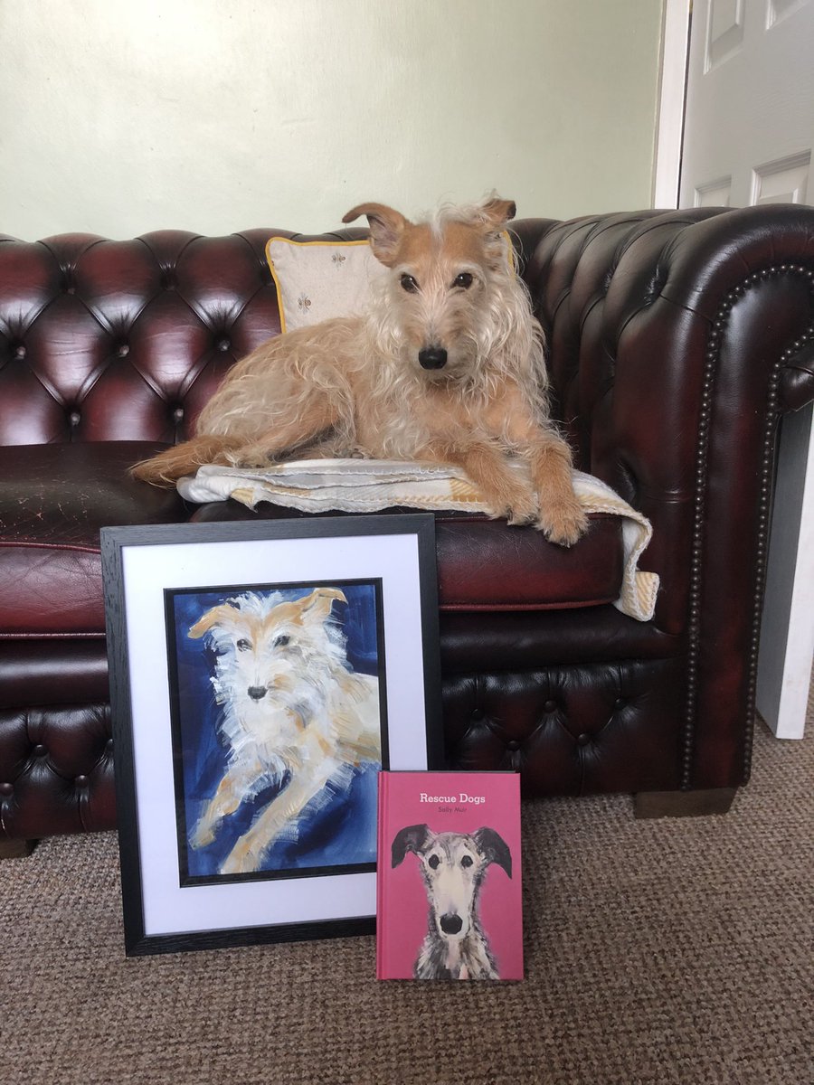 Want to see what else is on the Bella hall of fame wall? 
Here’s me with my portrait done by mummy’s favourite artist @salmuirAdogaday 😍
This portrait also features in her book #RescueDogs which you can buy now! 🐕