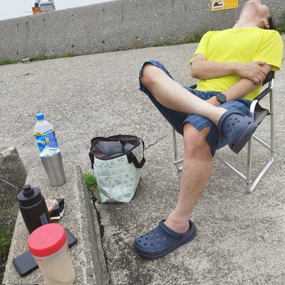 🐏🐺らんたん tweet media