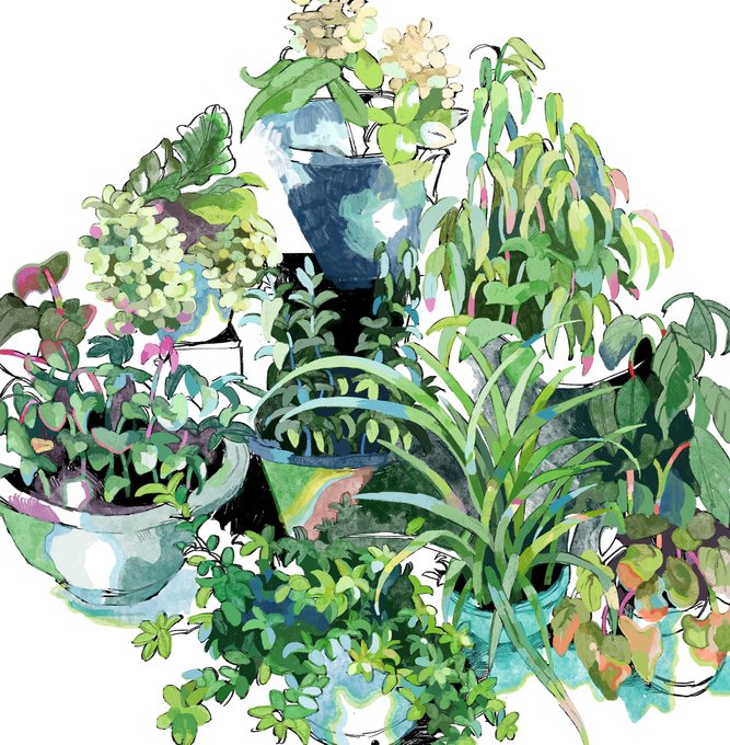 「植木鉢」のTwitter画像/イラスト(新着｜RT&Fav:50)｜4ページ目