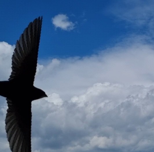 Tadek_8's tweet image. #Jerzyk
#Szczecin