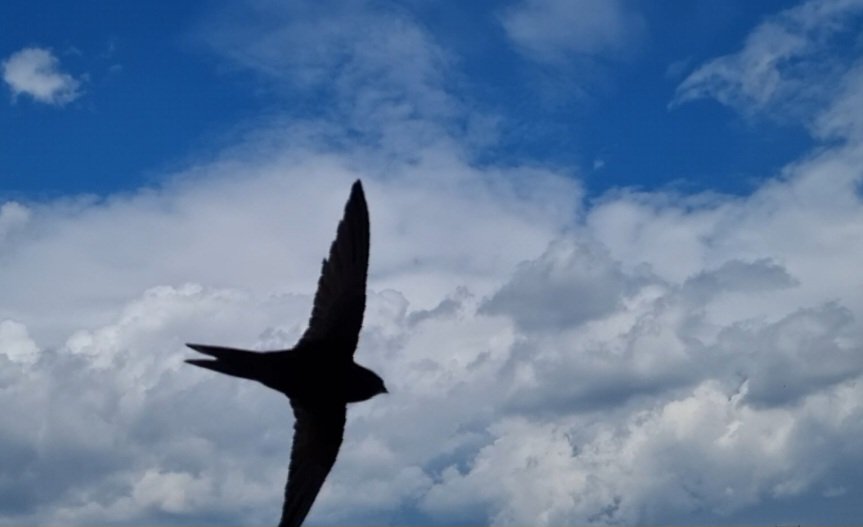 Tadek_8's tweet image. #Jerzyk
#Szczecin