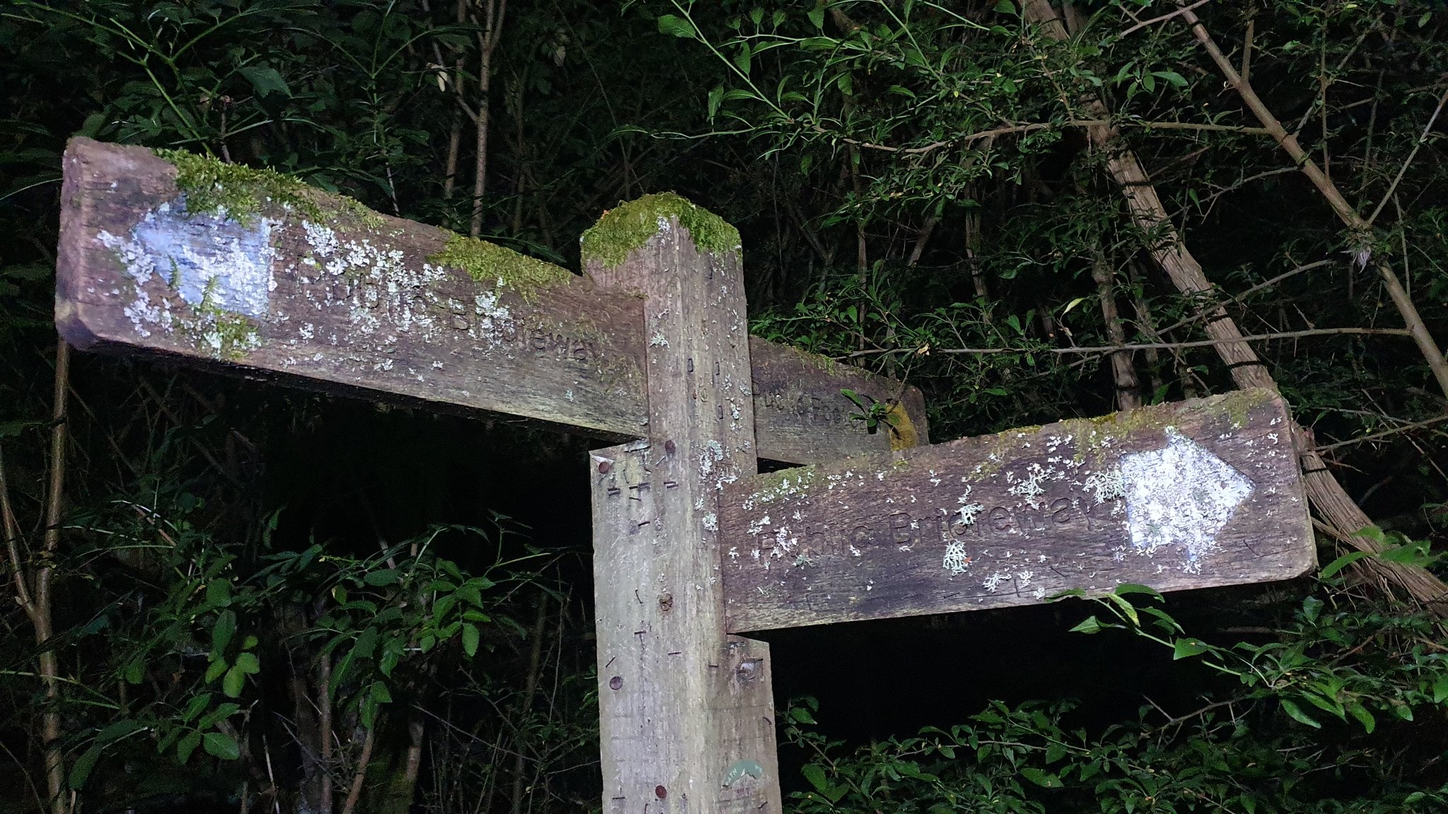 Books Landscape Magic on Twitter: