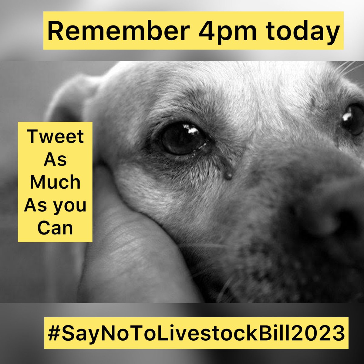 How does torturing animals for trading purposes align with our rich Indian culture? I oppose the proposed bill for the import/export of livestock
#SayNoToLivestockBill2023 
#SayNoToLivestockBill2023 #SayNoToLivestockBill2023 
#SayNoToLivestockBill2023