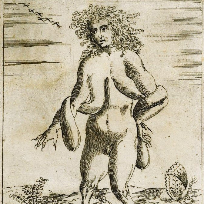 Breton tales describe fairies as educated, wise &amp; beautiful but some had teeth as long as a man’s hand &amp; backs covered with seaweed and barnacles. The fairies of nearby Cotentin, were reputed very small with elongated breasts that they threw over their shoulders. #FolkloreSunday