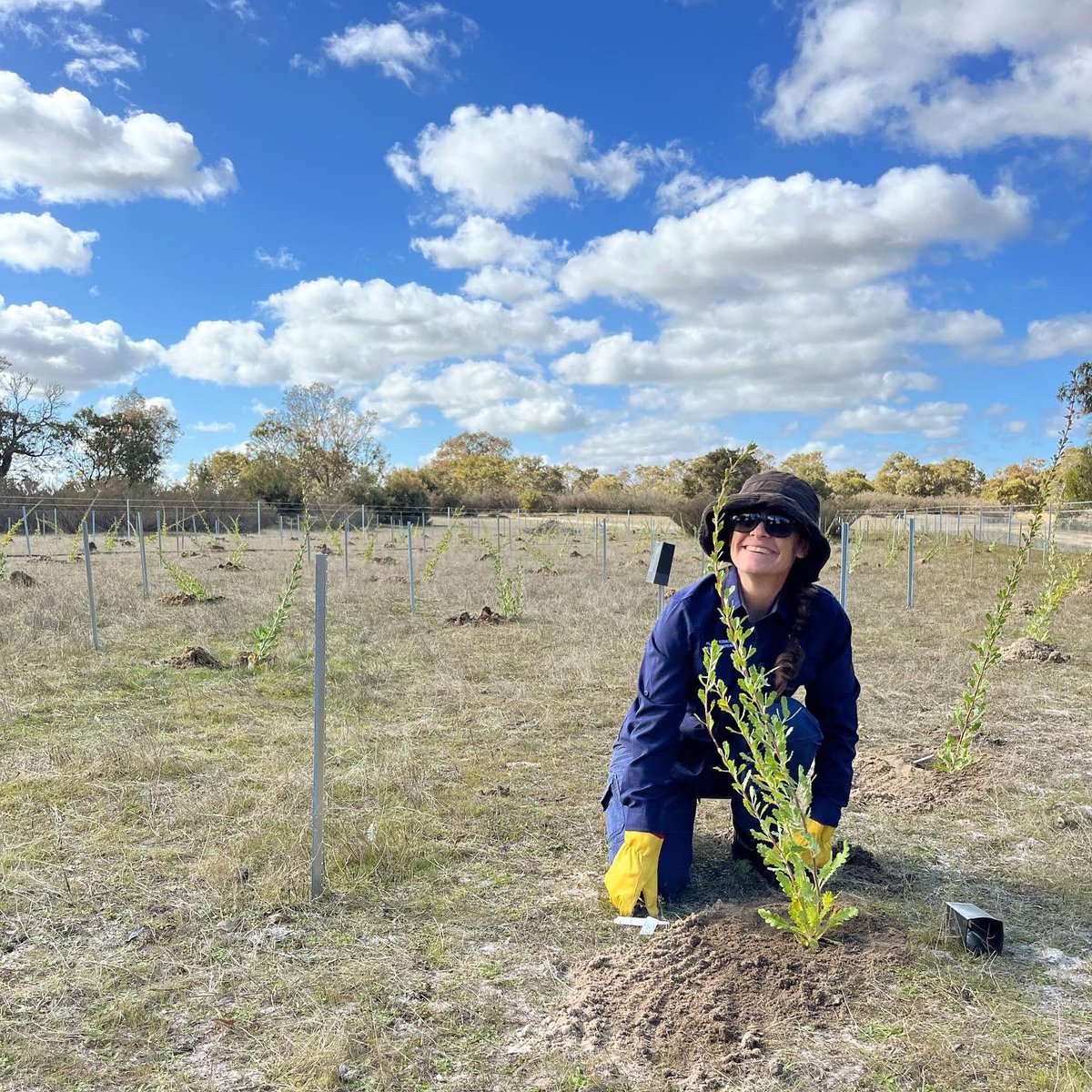 Rachel Binks tweet media