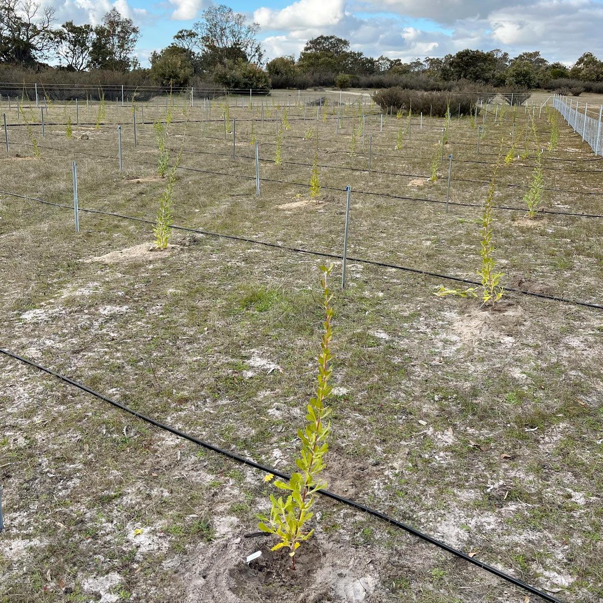 Rachel Binks tweet media