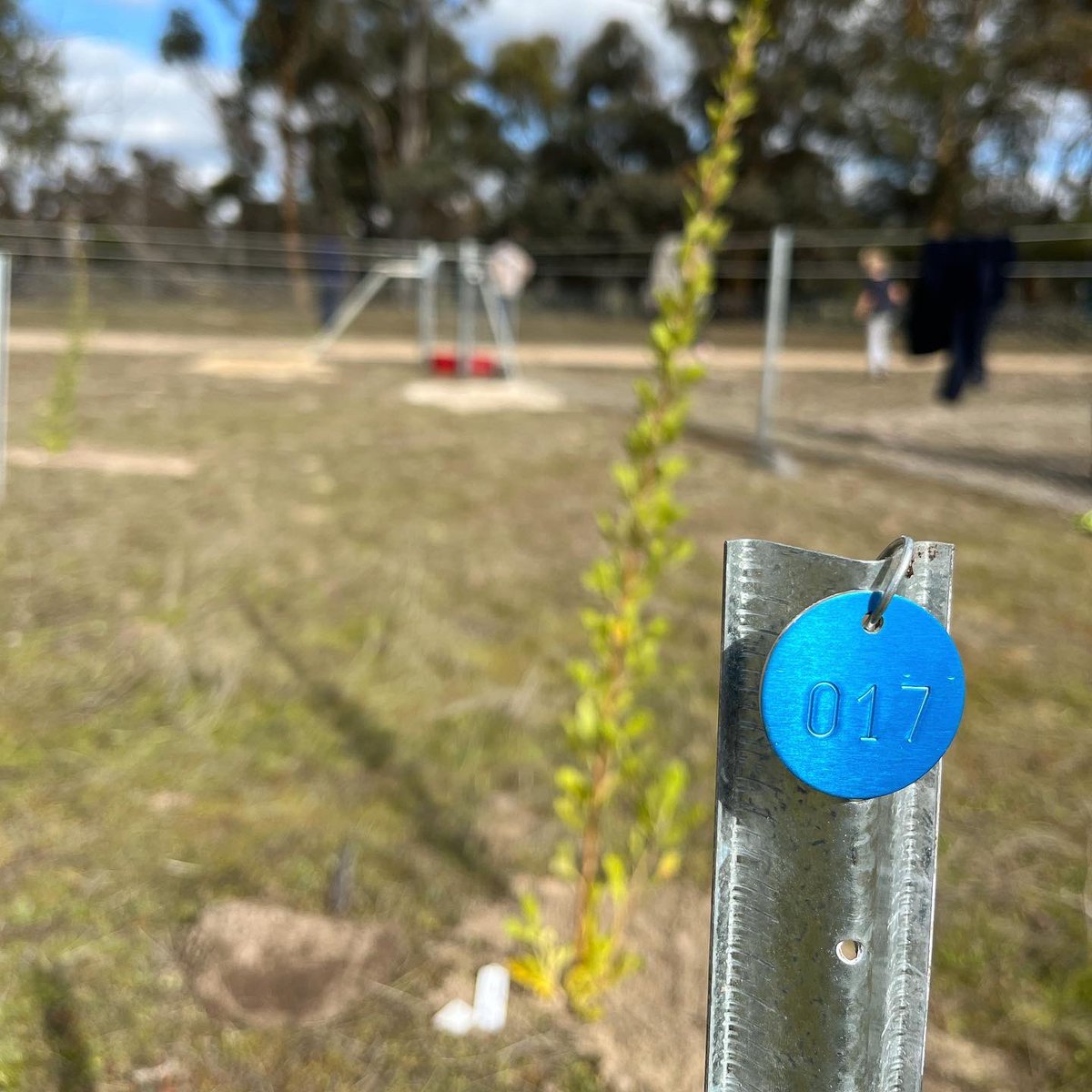 Rachel Binks tweet media