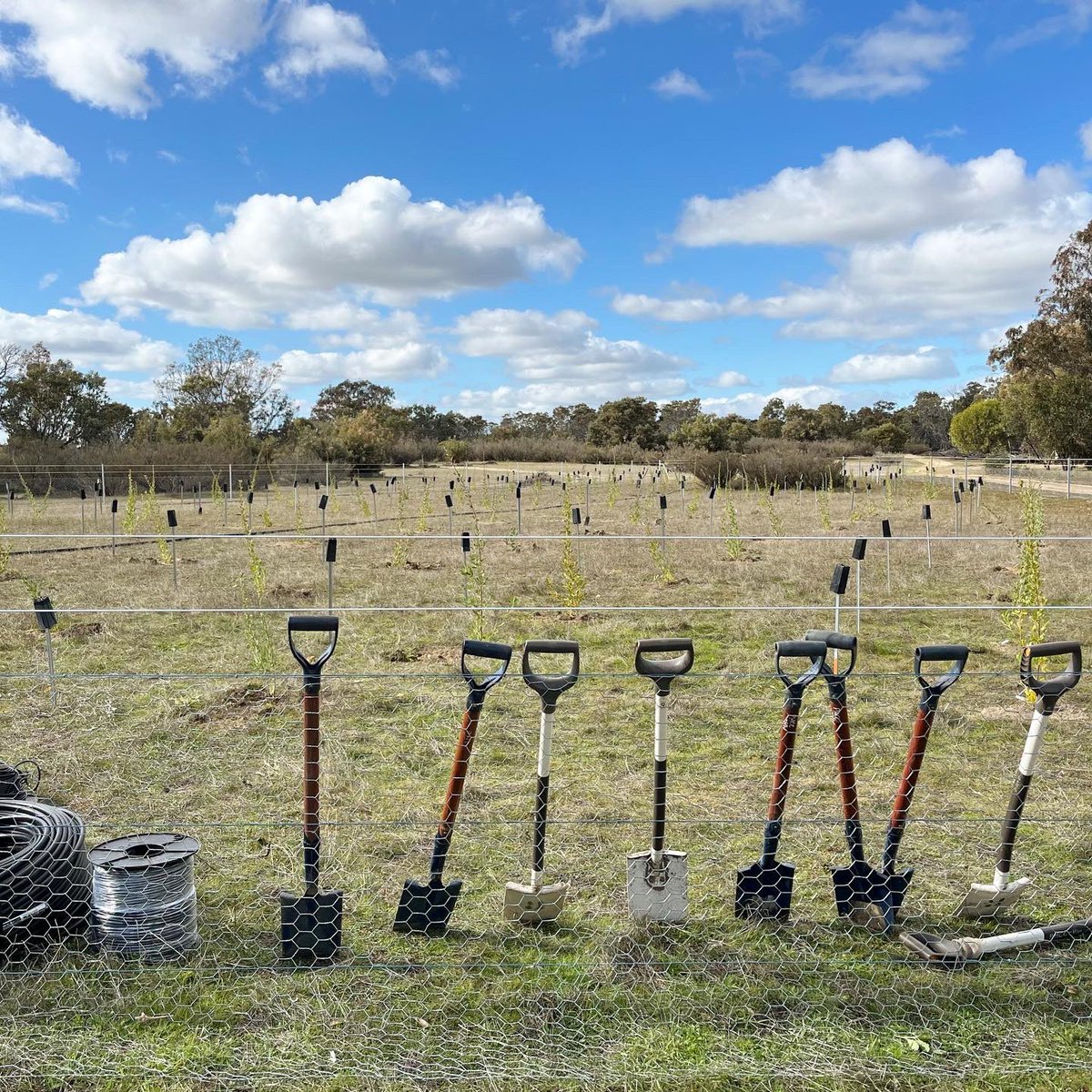 Rachel Binks tweet media