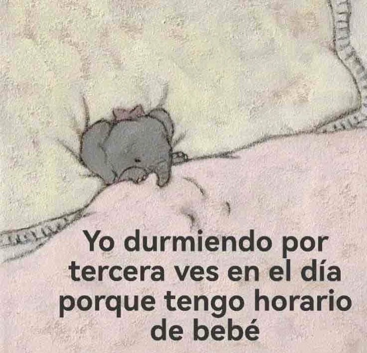piña sin pizza (@skereunpesado) on Twitter photo 