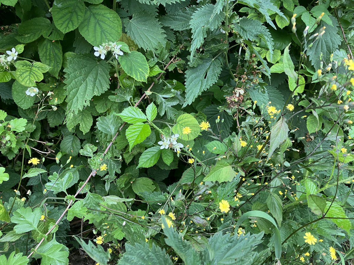 witblok's tweet image. Lekker hardlopen langs Benthuizerplas.