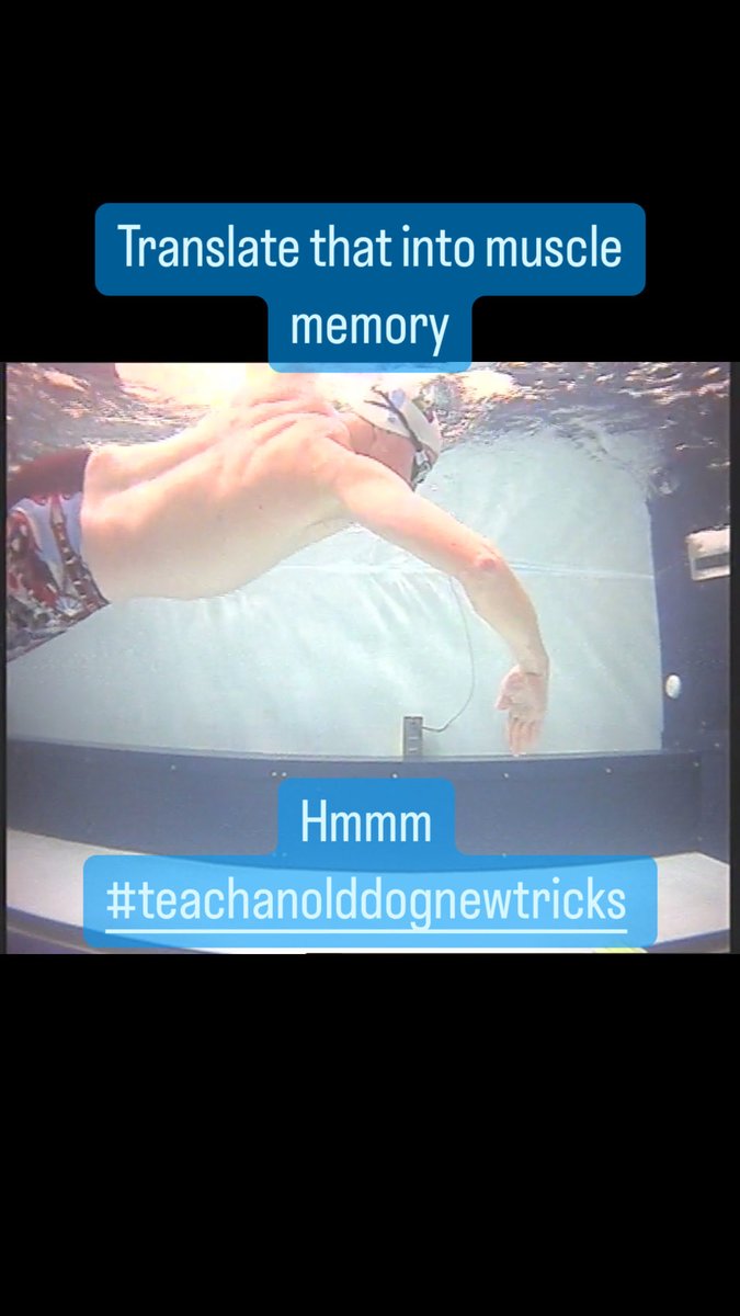 ⁦<a href="/swimcanarywharf/">Swim Canary Wharf</a>⁩ Ray you would have been proud of me this morning…drills at Serpentine through the duck mite infested algae soup🏊😀