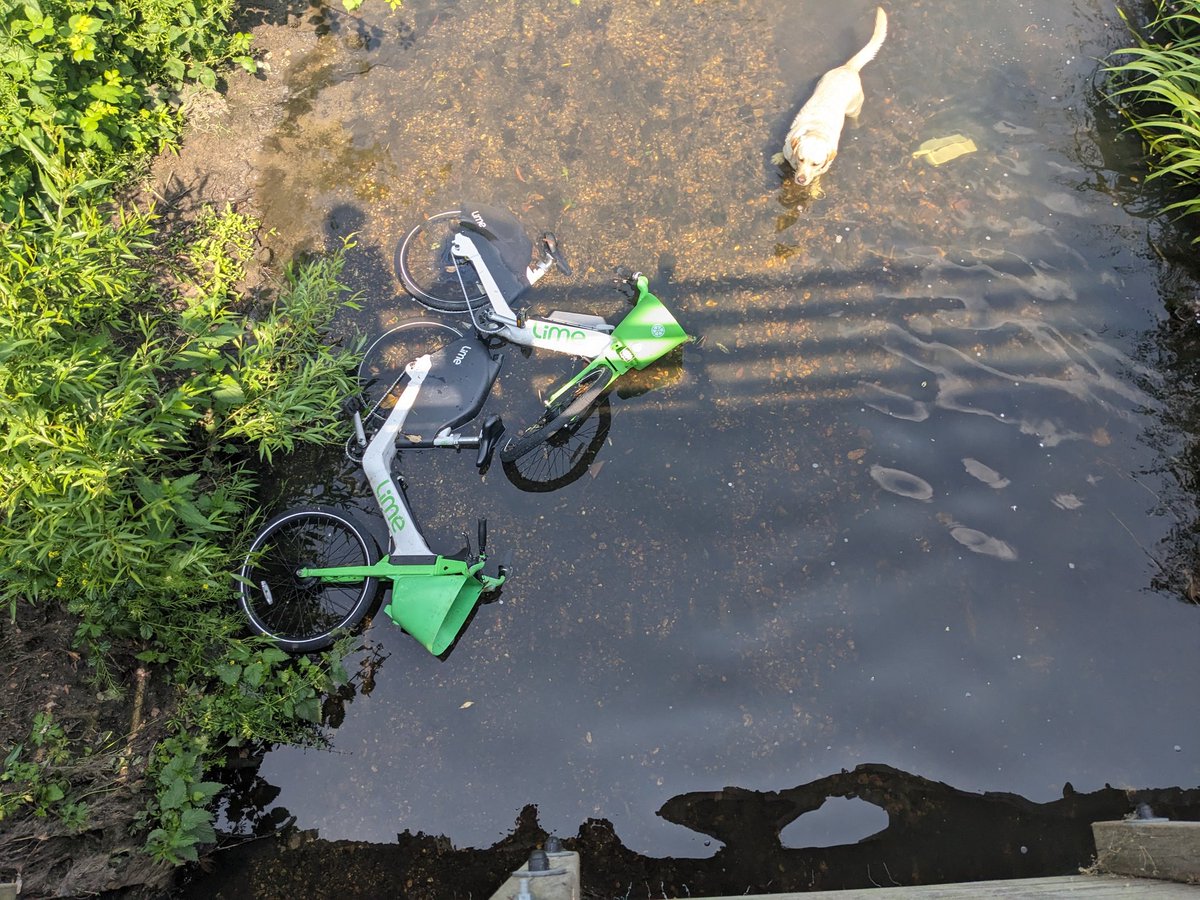 Please <a href="/limebike/">Lime</a> can you pick up your three limebikes from the river in Ladywell Fields, London. They have been there for days.
