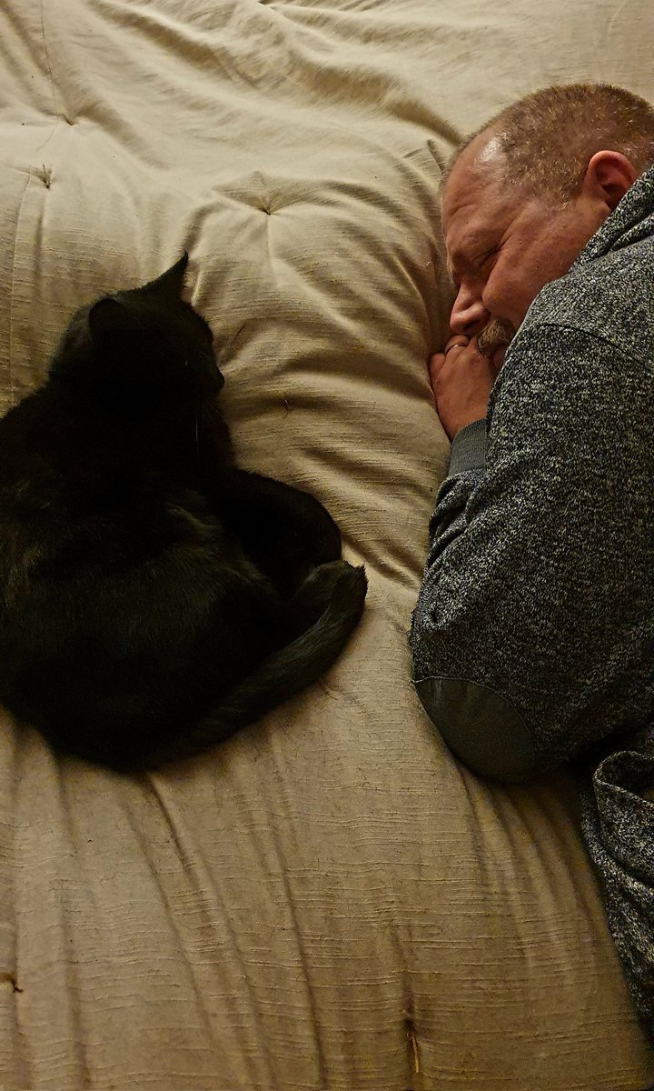 BagginsSuperCat's tweet photo. @SwaleCats #CatMenDo my dad is the best dad ever. He plays with me every day and takes me out on patrol, and i love him above all other things ever. Meow!
(He is also fast and loose with the treats, unlike mumquat!!) https://t.co/fK1A8FGOFm